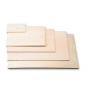 【10セット】 ARTEC 安全厚手版画ベニヤ小300x225x5.5 ATC20020X10 雑貨(代引不可)