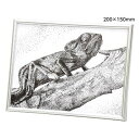 【5セット】 ARTEC ペン付点描フレーム200x150mm ATC13728X5 雑貨(代引不可)