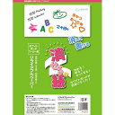 【5セット】 欧文印刷 消せる紙 A3 8枚入 PNCGSA3W08X5 雑貨(代引不可)【送料無料】