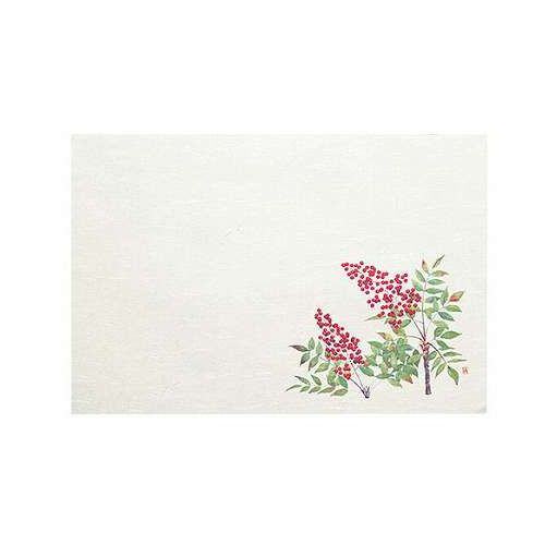 【5セット】 ヤマコー てまひま工房 四季 おもてなしセット 南天 yamaco88755X5【送料無料】