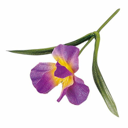 ޥ  ̳ ץե  (200) yamaco63854(Բ)̵