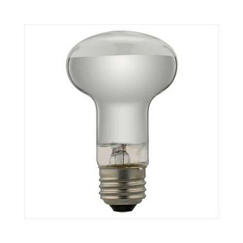 YAZAWA Ĺ̿ŵ RF100110V38WL