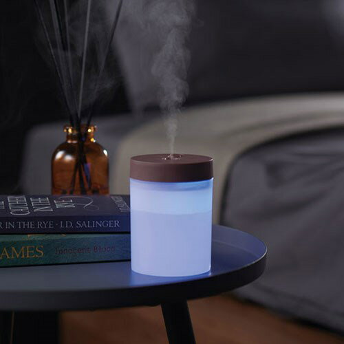 【10個セット】 モイストリーUSB卓上加湿器 コンパクトでしっかり水の量も入る お手入れかんたん USBケーブル付属 SP-36654X10(代引不可)【送料無料】