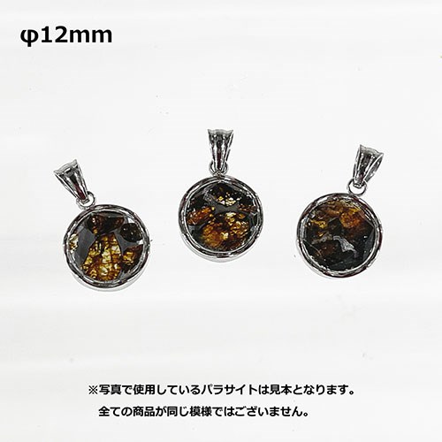 TENKAPAS ケニア産 セイムチャン隕石 パラサイト ペンダント 12mm ネックレス スネ...