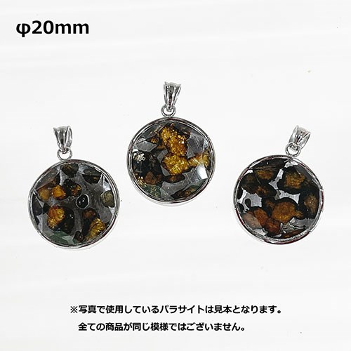 TENKAPAS ケニア産 セイムチャン隕石 パラサイト ペンダント 20mm ネックレス スネ...