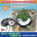 ジャステム 虫よけ しきわらいらず 6枚組ピン付 811353(代引不可)【メール便配送】【送料無料】
