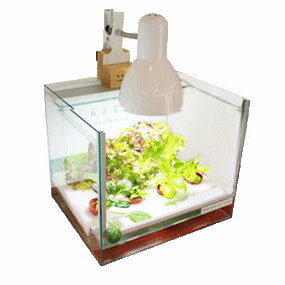 箱庭栽培キッチン スタンダード ベーシック