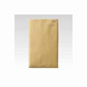 信封 - 菅公工業 パースルバッグ #3 1 枚 タ103 文房具 オフィス 用品