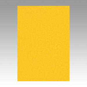 文運堂 色画用紙 ニューカラー 8切 みかん 1 束 8NCR-237 文房具 オフィス 用品