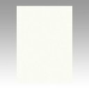 文運堂 色画用紙 ニューカラー 4切 ミルク 1 束 4NCR-152 文房具 オフィス 用品【送料無料】