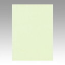 文運堂 色画用紙 ニューカラー 4切 メロン 1 束 4NCR-133 文房具 オフィス 用品【送料無料】