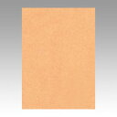 文運堂 色画用紙 ニューカラー 4切 うすちゃ 1 束 4NCR-109 文房具 オフィス 用品【送料無料】