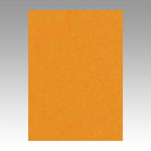 文運堂 色画用紙 ニューカラー 4切 おうどいろ 1 束 4NCR-210 文房具 オフィス 用品【送料無料】