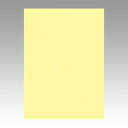 文運堂 色画用紙 ニューカラー 4切 ライトイエロー 1 束 4NCR-134 文房具 オフィス 用品【送料無料】