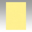 文運堂 色画用紙 ニューカラー 4切 クリーム 1 束 4NCR-101 文房具 オフィス 用品【送料無料】