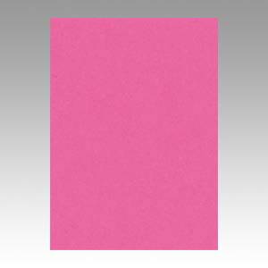 文運堂 色画用紙 ニューカラー 4切 こいもも 1 束 4NCR-232 文房具 オフィス 用品【送料無料】
