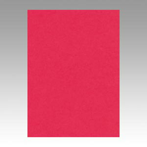 文運堂 色画用紙 ニューカラー 4切 ぼたんいろ 1 束 4NCR-325 文房具 オフィス 用品【送料無料】