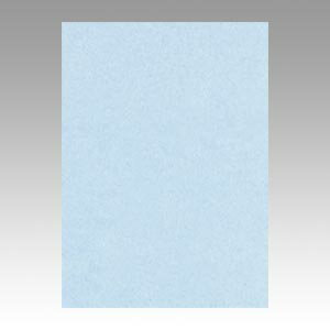 文運堂 色画用紙 ニューカラー 4切 ラベンダー 1 束 4NCR-131 文房具 オフィス 用品【送料無料】