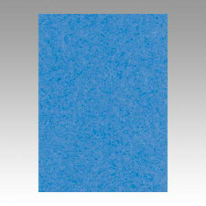 文運堂 色画用紙 ニューカラー 4切 そらいろ 1 束 4NCR-250 文房具 オフィス 用品【送料無料】