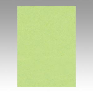 文運堂 色画用紙 ニューカラー 4切 わかくさ 1 束 4NCR-243 文房具 オフィス 用品【送料無料】