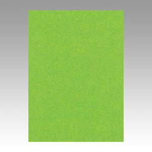 文運堂 色画用紙 ニューカラー 4切 こいきみどり 1 束 4NCR-238 文房具 オフィス 用品【送料無料】