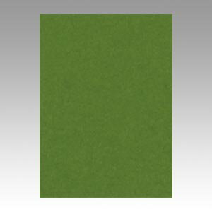文運堂 色画用紙 ニューカラー 4切 オリーブ 1 束 4NCR-316 文房具 オフィス 用品【送料無料】