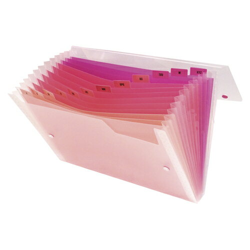 ビュ−トンジャパン グラデ　ドキュメントファイル　A4　13ポケット　ピンク GDF-A4-13P 1冊