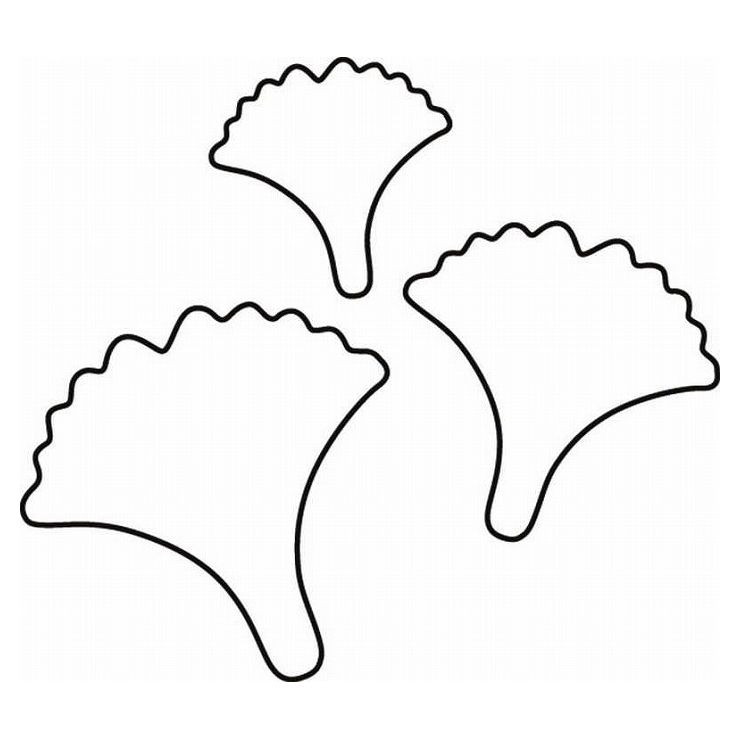 たかもり たかもりの生抜 銀杏 小 #1 077145