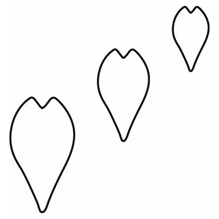 たかもり たかもりの生抜 桜の花びら 中 #2 077123