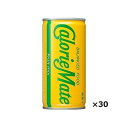 カロリーメイト フルーツミックス(200mL×30本) 051806432【送料無料】