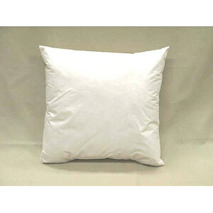 【2個セット】 シンプル 羽根クッション中材 【ベージュ 幅40cm】 正方形 スモールフェザー100% 日本製 〔リビング 寝室〕 [3]
