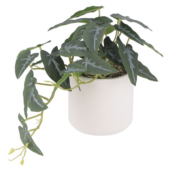 フェイクグリーン 観葉植物 約幅430mm アロカシア セラミックポット リビング ダイニング インテリア家..