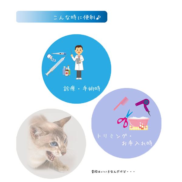 （まとめ） キャットマズル S 【×2セット】 （ペット用品） 3