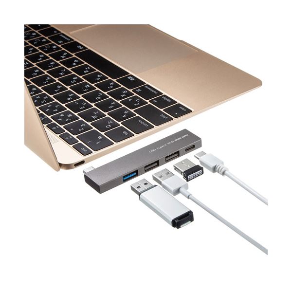 リコメン堂の【5個セット】 サンワサプライ USB Type-C コンボ スリムハブ USB-3TCH21SNX5｜アングル2