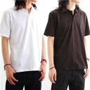 背中で語れる スカ柄ポロシャツ 2009・富士鷹 白 XL (NP) (代引不可)