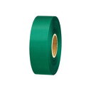 (まとめ)ジョインテックス カラーリボン緑 24mm*25m B824J-GR【×10セット】 (代引不可)