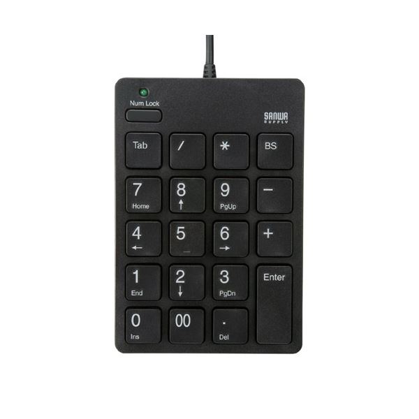 （まとめ）サンワサプライ USB2.0ハブ付テンキーアイソレーションタイプ NT-18UH2BK【×2セット】 (代引不可)