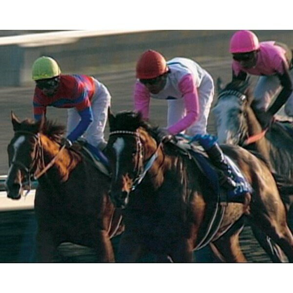 グレース・マーヤ / ザ・ルック・オブ・ラヴ [CD]