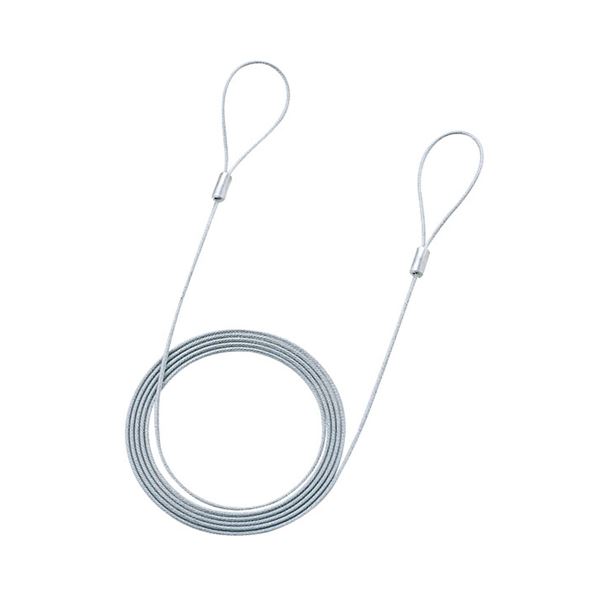 （まとめ）サンワサプライ eセキュリティ（ワイヤー、2.0m・1.6mm） SLE-3W-2【×10セット】 (代引不可)