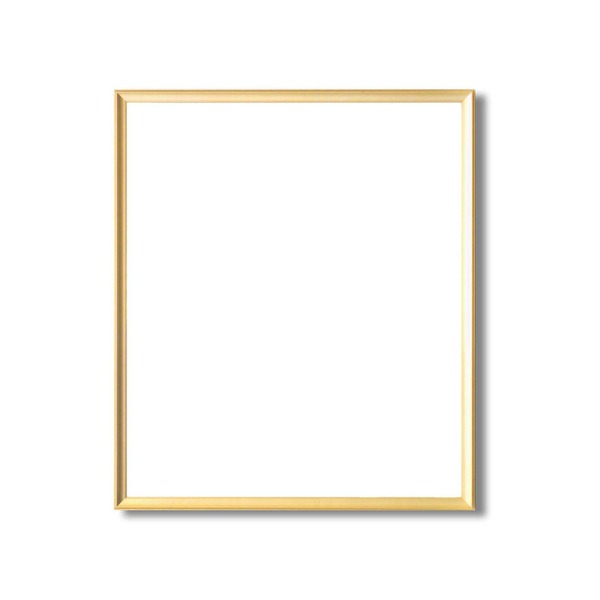 デッサン額縁/フレーム 【三三サイズ 606×455mm】 ゴールド 壁掛けひも付き 化粧箱入り 5003 (代引不可)