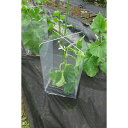 【5セット入】 かんたん苗カバーセット/植物保護キット 設置時:幅18cm 日本製 〔園芸 ガーデニング フラワー用品〕 227 (代引不可)(4)