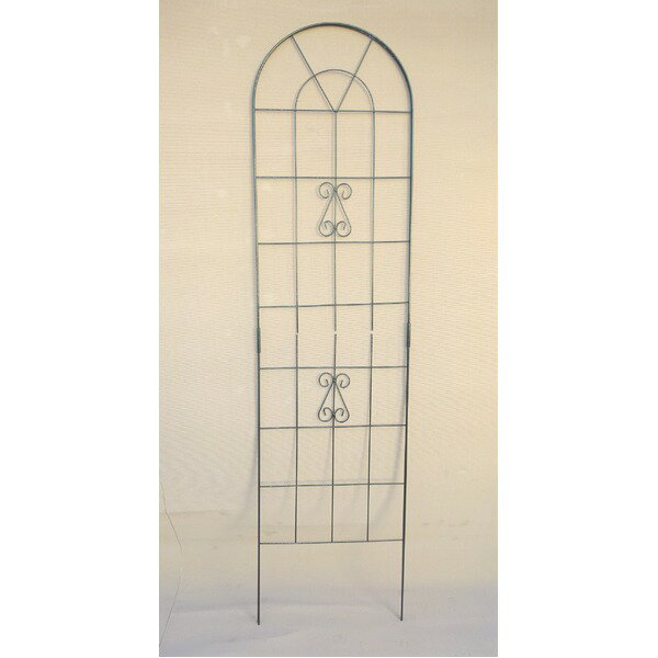 トレリス/ガーデンフェンス 【2枚入 高さ200cm】 防サビ加工 スチール 日本製 2W ワイヤーフェンス 〔..