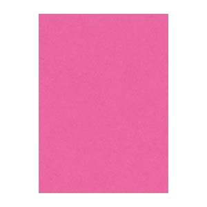 （まとめ） 文運堂 ニューカラーR 四ツ切 横392×縦542mm 4NCR-232 こいもも 100枚入 【×2セット】