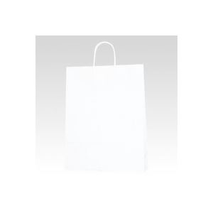 （まとめ） シモジマ 手提紙袋 白（50枚入） 3222800 白 【×2セット】 (代引不可)