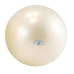 ギムニクフィットボール 65cm ホワイト (代引不可)