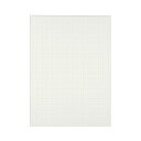 (まとめ) TANOSEE 模造紙(プルタイプ) 本体 788×1085mm 50mm方眼 再生ホワイト 1ケース(20枚) 【×10セット】 (代引不可)