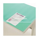 (まとめ) ライオン事務器 デスクマット PVC製光沢仕上 ダブル(グリーンマット付) 450×300×1.8mm SN 1枚 【×10セット】 (代引不可)