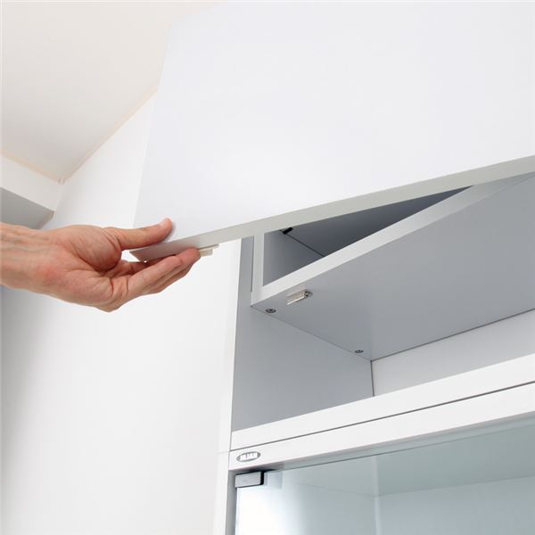 コレクションケース/収納棚 レギュラー 専用上置き 【ロータイプ 奥行19cm用 ホワイト】 幅54.1cm 本体別売 【組立品】 (代引不可) [3]