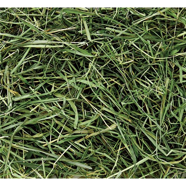 リコメン堂の(まとめ）うさぎ元気 バニーグレードチモシーソフト 500g（ペット用品）【×6セット】 (代引不可)｜アングル2