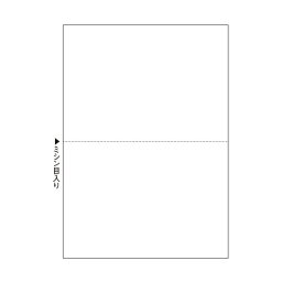 （まとめ）TANOSEEマルチプリンタ帳票(スーパーエコノミー) A4 白紙 2面 1セット(500枚:100枚×5冊) 【×3セット】 (代引不可)